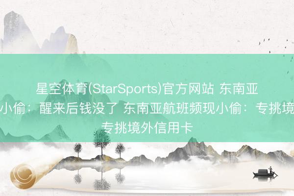 星空体育(StarSports)官方网站 东南亚航班频现小偷:醒来后钱没了 东南亚航班频现小偷:专挑境外信用卡