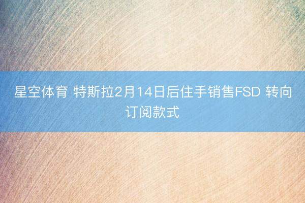 星空体育 特斯拉2月14日后住手销售FSD 转向订阅款式
