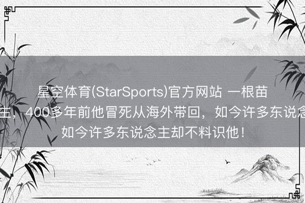 星空体育(StarSports)官方网站 一根苗服待4亿东说念主，400多年前他冒死从海外带回，如今许多东说念主却不料识他！