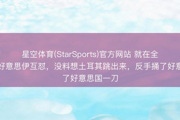 星空体育(StarSports)官方网站 就在全寰球盯着好意思伊互怼,没料想土耳其跳出来,反手捅了好意思国一刀