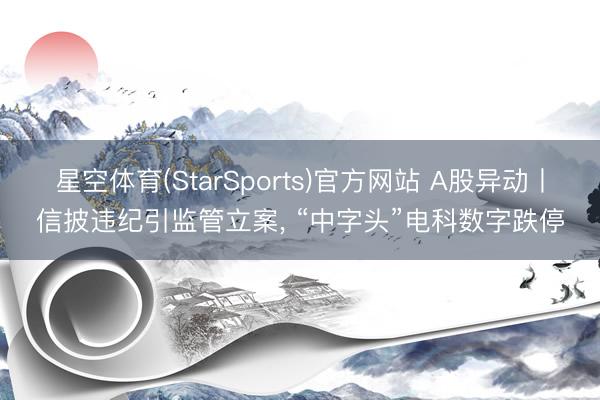 星空体育(StarSports)官方网站 A股异动丨信披违纪引监管立案， “中字头”电科数字跌停