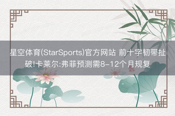 星空体育(StarSports)官方网站 前十字韧带扯破!卡莱尔:弗菲预测需8-12个月规复