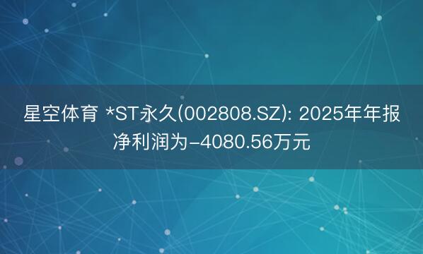 星空体育 *ST永久(002808.SZ): 2025年年报净利润为-4080.56万元