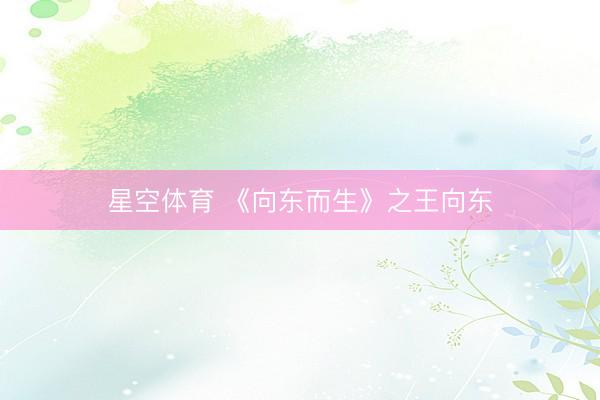星空体育 《向东而生》之王向东